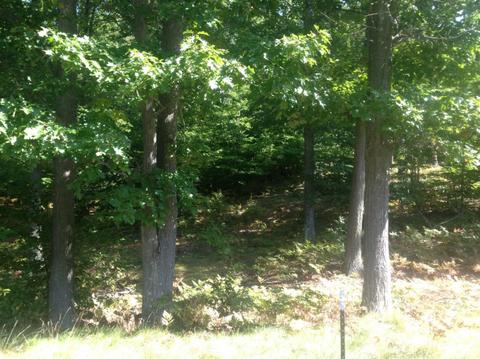 57 Acres Novadoc, Mears, MI 49436 photo 11