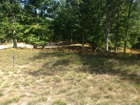 57 Acres Novadoc, Mears, MI 49436 photo 6