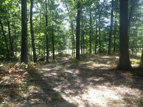 57 Acres Novadoc, Mears, MI 49436 photo 21