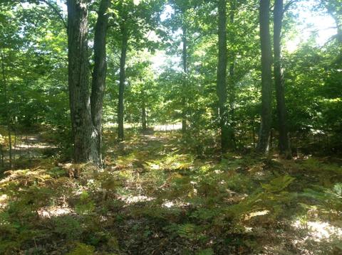 57 Acres Novadoc, Mears, MI 49436 photo 17