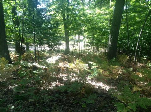 57 Acres Novadoc, Mears, MI 49436 photo 20