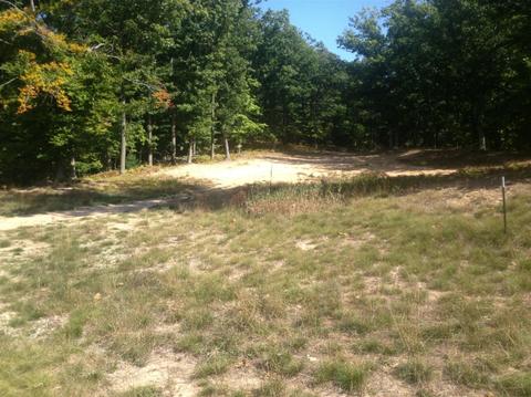 57 Acres Novadoc, Mears, MI 49436 photo 9
