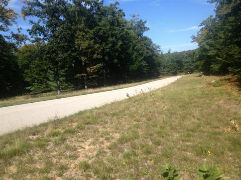 57 Acres Novadoc, Mears, MI 49436 photo 13