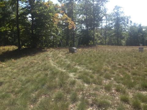 57 Acres Novadoc, Mears, MI 49436 photo 12