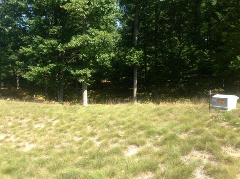 57 Acres Novadoc, Mears, MI 49436 photo 2