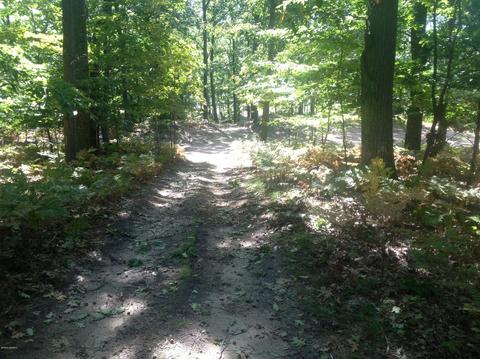 57 Acres Novadoc, Mears, MI 49436 photo 19