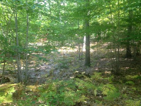57 Acres Novadoc, Mears, MI 49436 photo 15