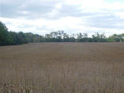 0000 Elm Vly, Buchanan, MI 49107