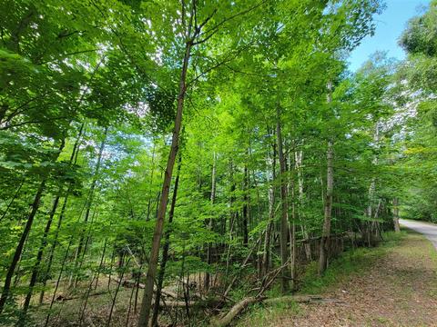 4 13 Acres Memorial, Onekama, MI 49675