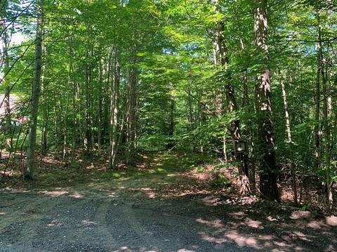 Lot 6 Woodridge, Mears, MI 49436