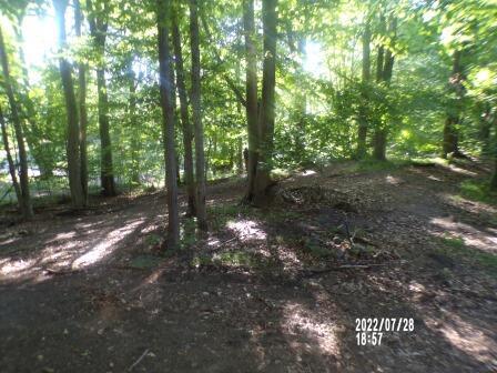5025 Inner Loop, Custer, MI 49405 photo 22
