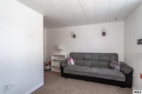 215 S Sutton Rd, Leoni, MI 49203 photo 24