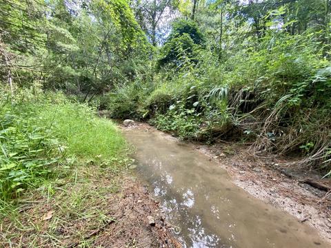 2560 Kern Rd, Gladwin, MI 48624 photo 4