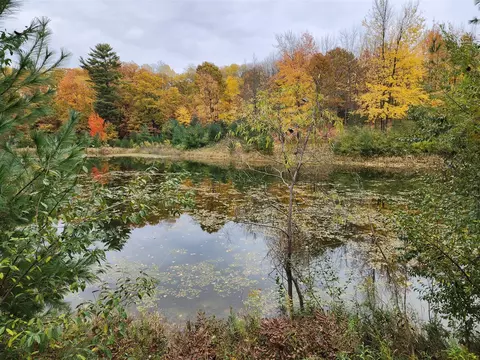 8514 Blackberry, Stanwood, MI 49346