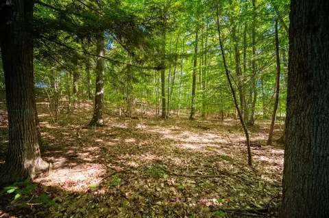 Emerald Ridge, Onekama, MI 49675 photo 11