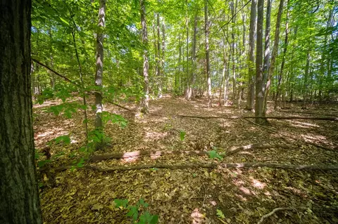 Emerald Ridge, Onekama, MI 49675 photo 16