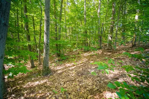 Emerald Ridge, Onekama, MI 49675 photo 20