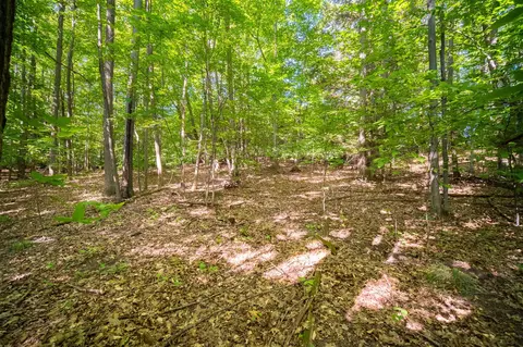 Emerald Ridge, Onekama, MI 49675 photo 18