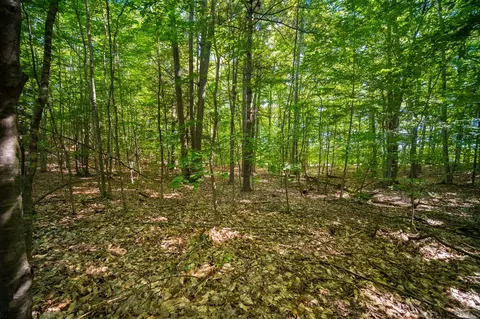 Emerald Ridge, Onekama, MI 49675 photo 9