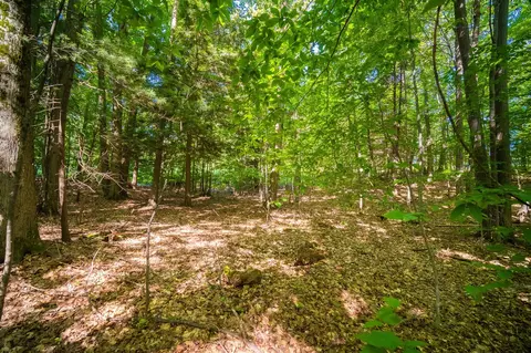 Emerald Ridge, Onekama, MI 49675 photo 12
