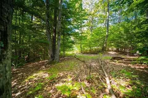 Emerald Ridge, Onekama, MI 49675