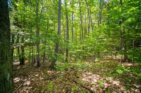 Emerald Ridge, Onekama, MI 49675 photo 21