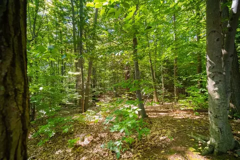 Emerald Ridge, Onekama, MI 49675 photo 7