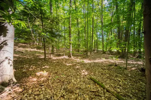 Emerald Ridge, Onekama, MI 49675 photo 13