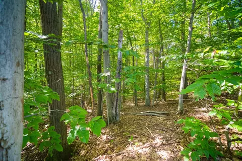 Emerald Ridge, Onekama, MI 49675 photo 2