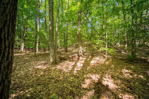 Emerald Ridge, Onekama, MI 49675 photo 15