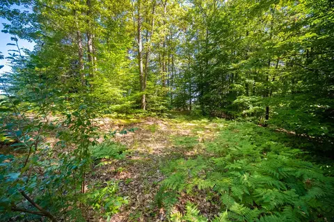 Emerald Ridge, Onekama, MI 49675 photo 5