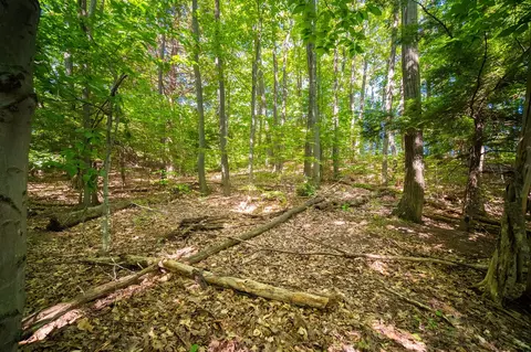 Emerald Ridge, Onekama, MI 49675 photo 19