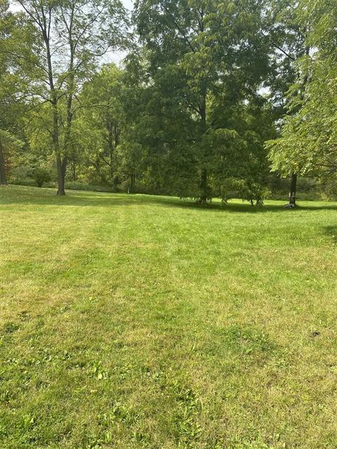 Tbd N Mcphearson Street, Stanton, MI 48888 photo 3