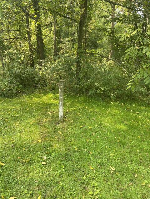 Tbd N Mcphearson Street, Stanton, MI 48888 photo 2