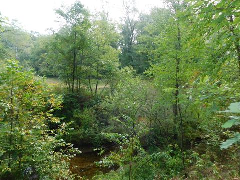 10222 Walnut, Grant, MI 49327 photo 26