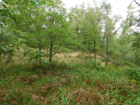 10222 Walnut, Grant, MI 49327 photo 30