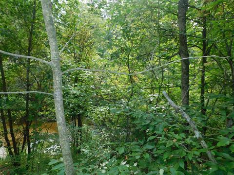 10222 Walnut, Grant, MI 49327 photo 27