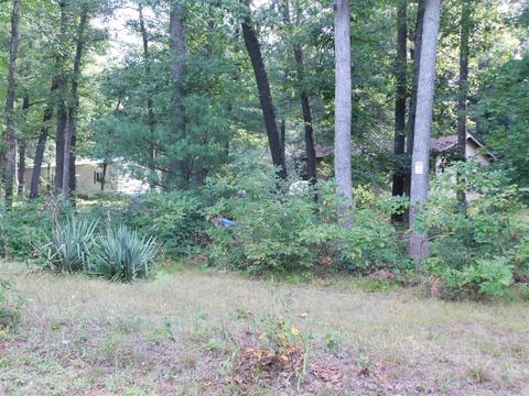 10222 Walnut, Grant, MI 49327 photo 40