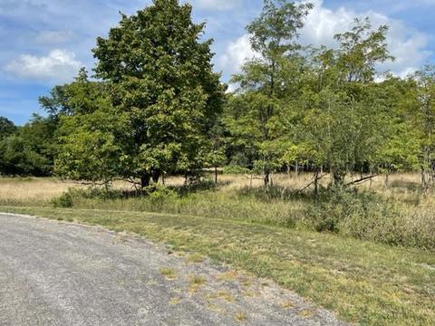 Willow, Manistee, MI 49660 photo 2