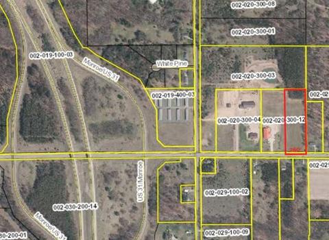 4 W 72 Acres W Monroe, Hart, MI 49420