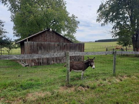 10207 E 48th, Chase, MI 49623 photo 32