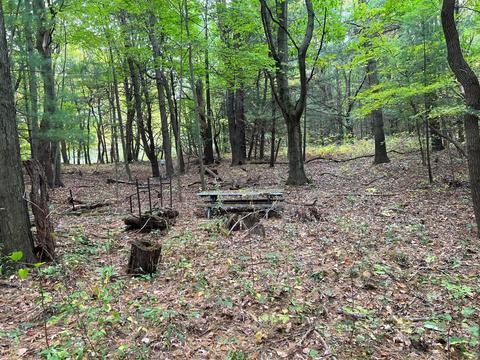 77581 30th, Covert, MI 49043 photo 6