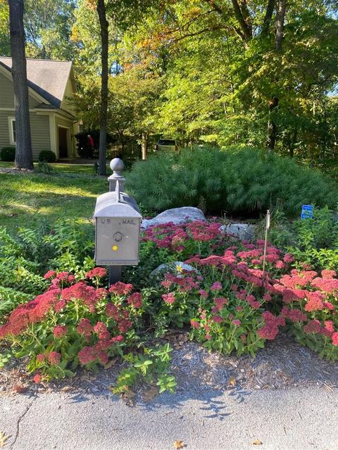 8905 Conservancy, Ada, MI 49301 photo 39
