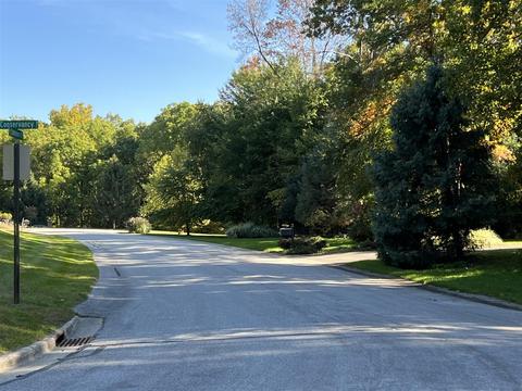 8905 Conservancy, Ada, MI 49301 photo 45