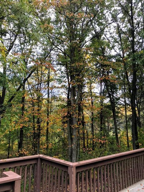 8905 Conservancy, Ada, MI 49301 photo 9