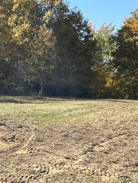 951 44th, Pullman, MI 49450 photo 9