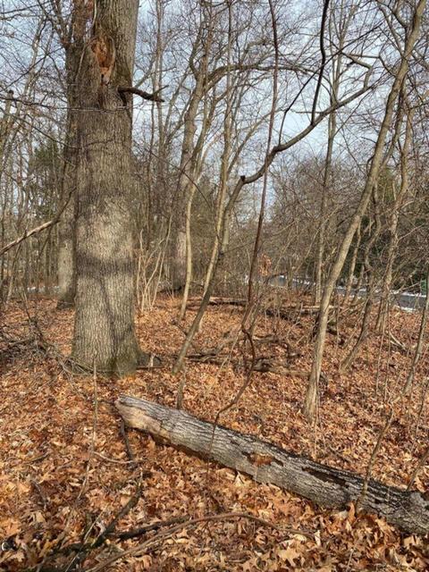 Lot C Comanche, New Buffalo, MI 49117
