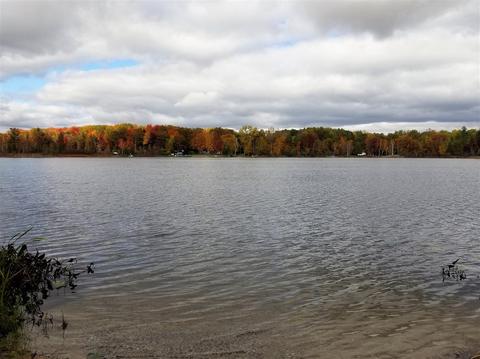 tbd Sassafras, Remus, MI 49340 photo 8