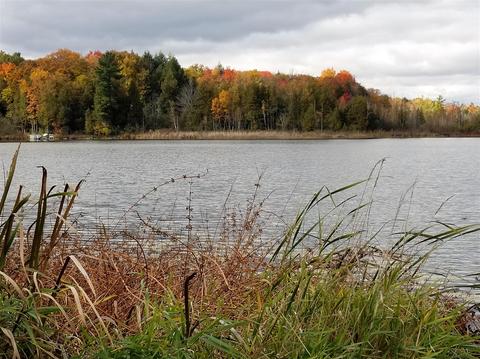 tbd Sassafras, Remus, MI 49340 photo 6