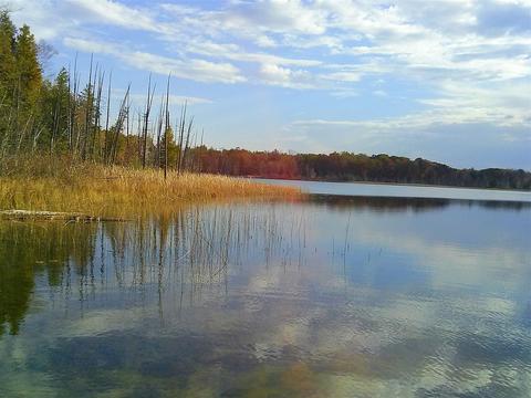 tbd Sassafras, Remus, MI 49340 photo 21